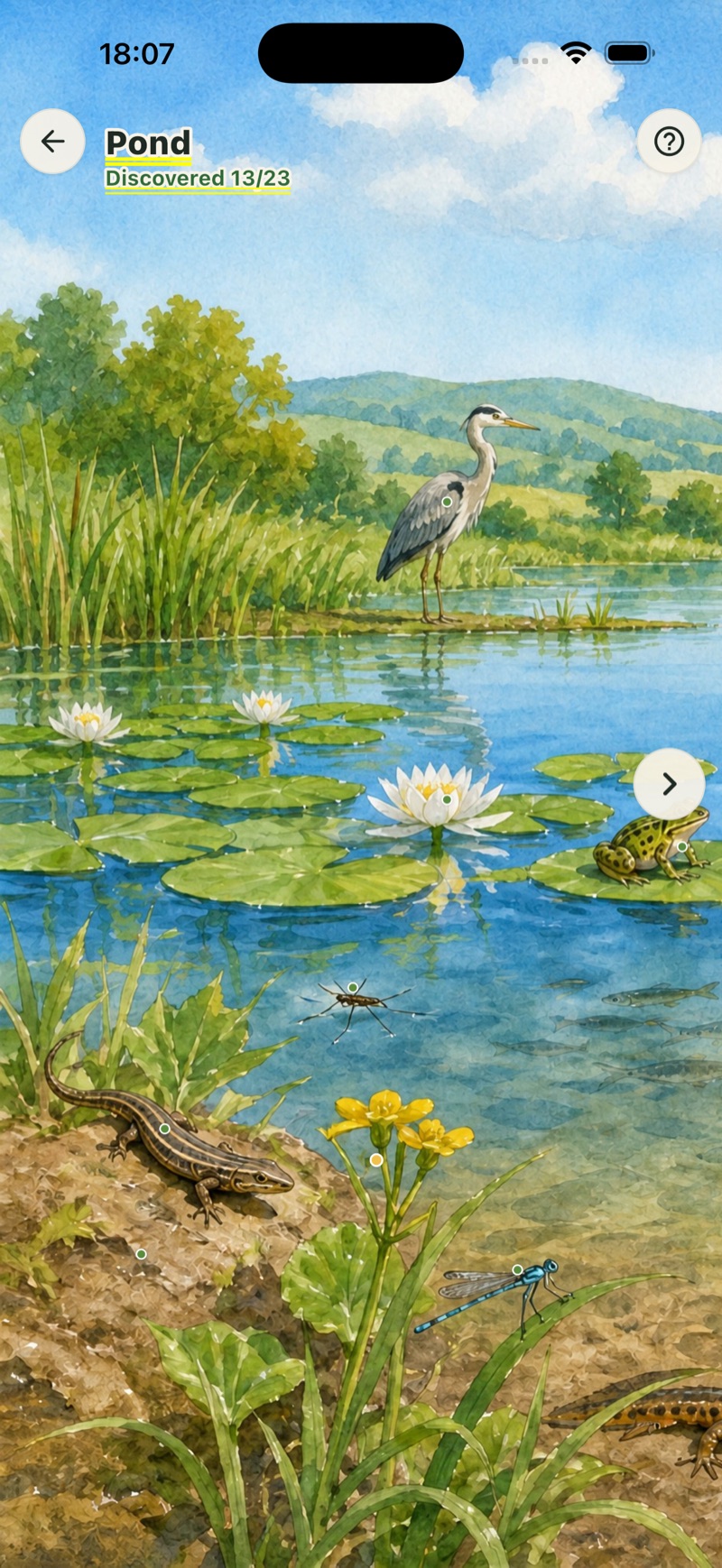 Pond map in the app